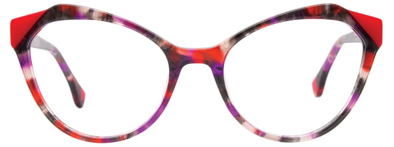 Paradox P5091 Eyeglasses - view 6